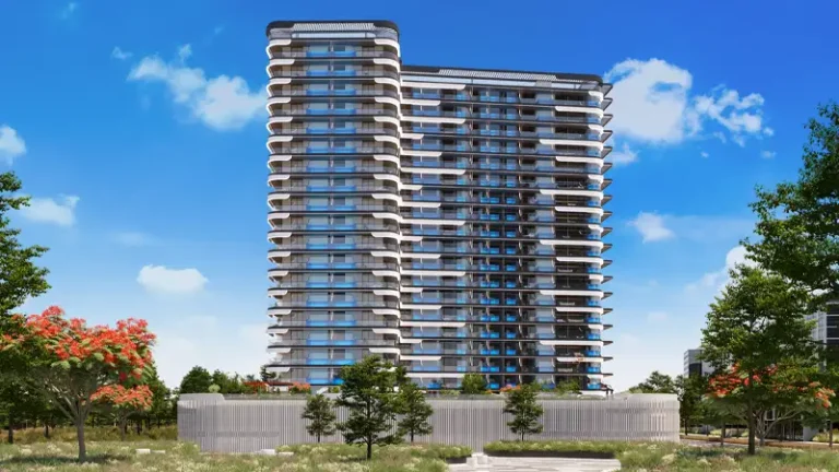 Dubai Real Estate Soars in 2024: What’s Next for 2025?